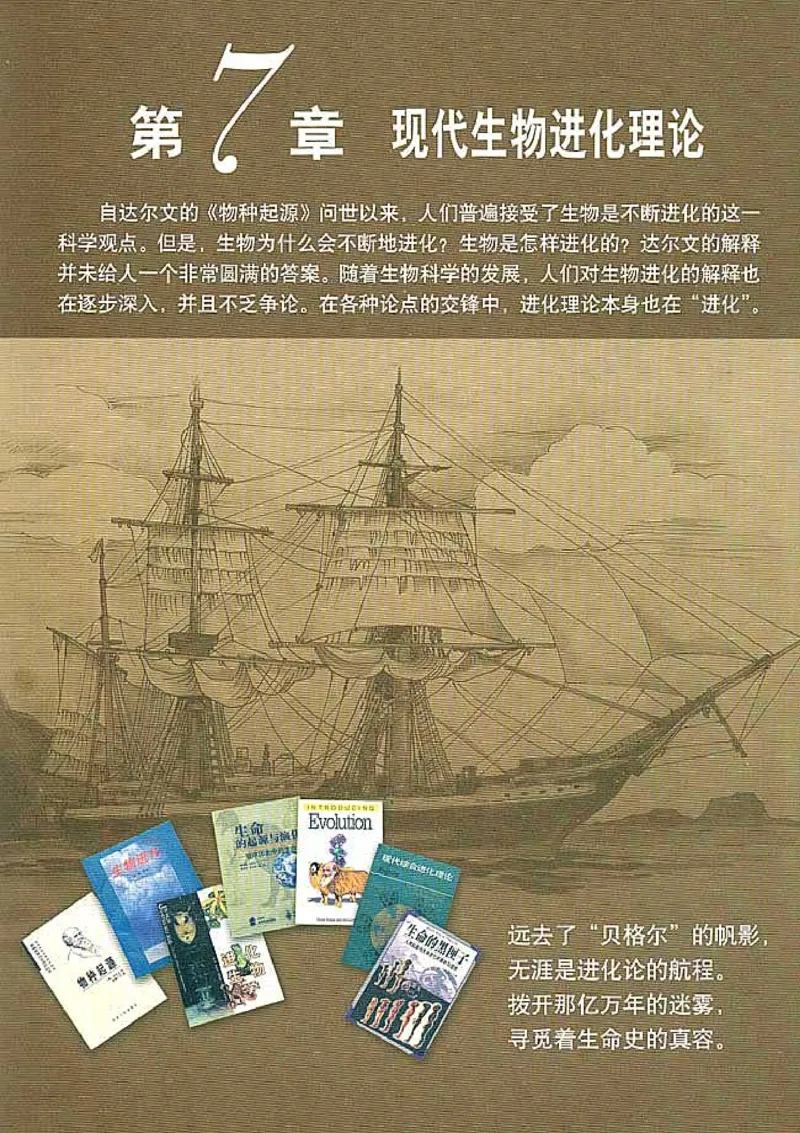 高中生物必修2遗传与进化_高中课本电子全科人教版语数英政历地物化生必修选修全套课本PPT_高中生物