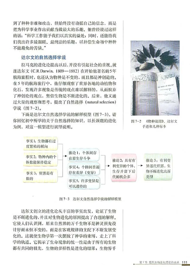 高中生物必修2遗传与进化_高中课本电子全科人教版语数英政历地物化生必修选修全套课本PPT_高中生物