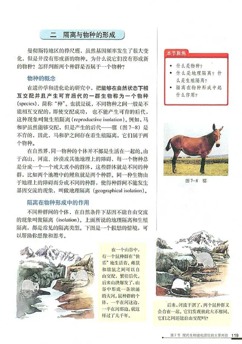 高中生物必修2遗传与进化_高中课本电子全科人教版语数英政历地物化生必修选修全套课本PPT_高中生物