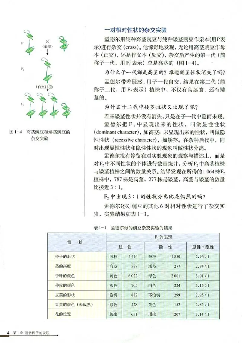 高中生物必修2遗传与进化_高中课本电子全科人教版语数英政历地物化生必修选修全套课本PPT_高中生物