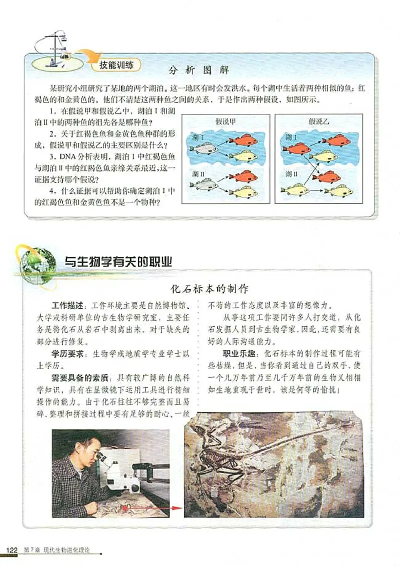 高中生物必修2遗传与进化_高中课本电子全科人教版语数英政历地物化生必修选修全套课本PPT_高中生物