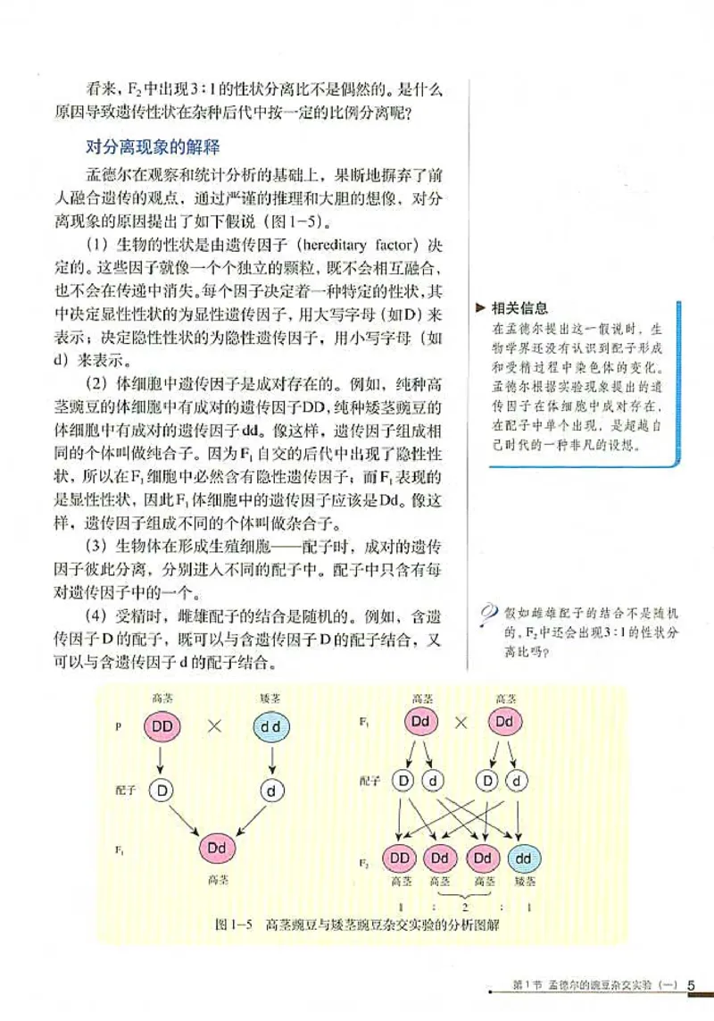 高中生物必修2遗传与进化_高中课本电子全科人教版语数英政历地物化生必修选修全套课本PPT_高中生物