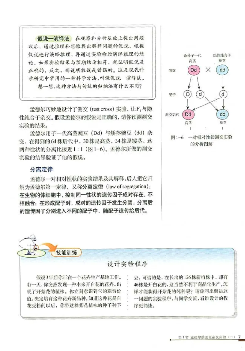 高中生物必修2遗传与进化_高中课本电子全科人教版语数英政历地物化生必修选修全套课本PPT_高中生物