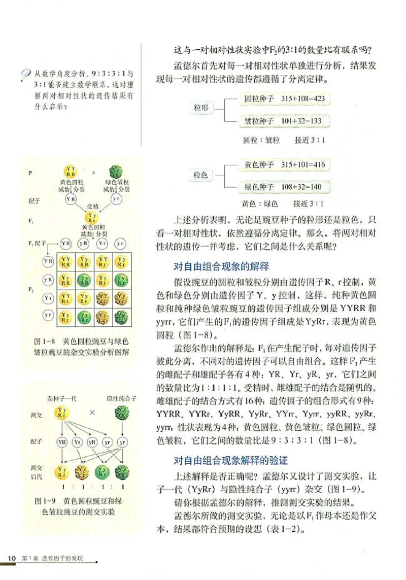 高中生物必修2遗传与进化_高中课本电子全科人教版语数英政历地物化生必修选修全套课本PPT_高中生物