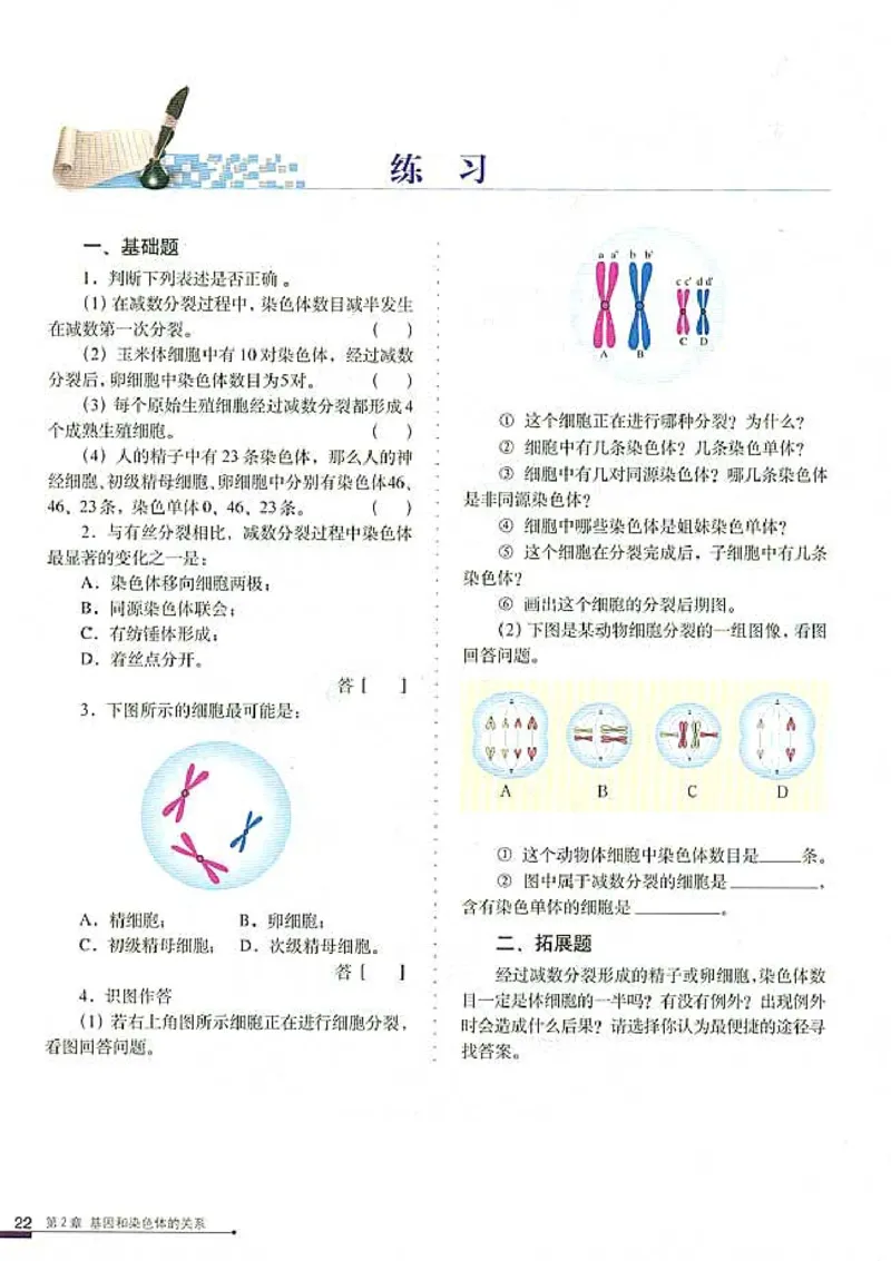 高中生物必修2遗传与进化_高中课本电子全科人教版语数英政历地物化生必修选修全套课本PPT_高中生物