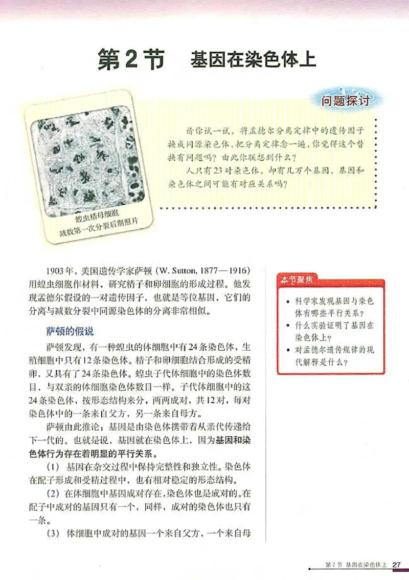 高中生物必修2遗传与进化_高中课本电子全科人教版语数英政历地物化生必修选修全套课本PPT_高中生物