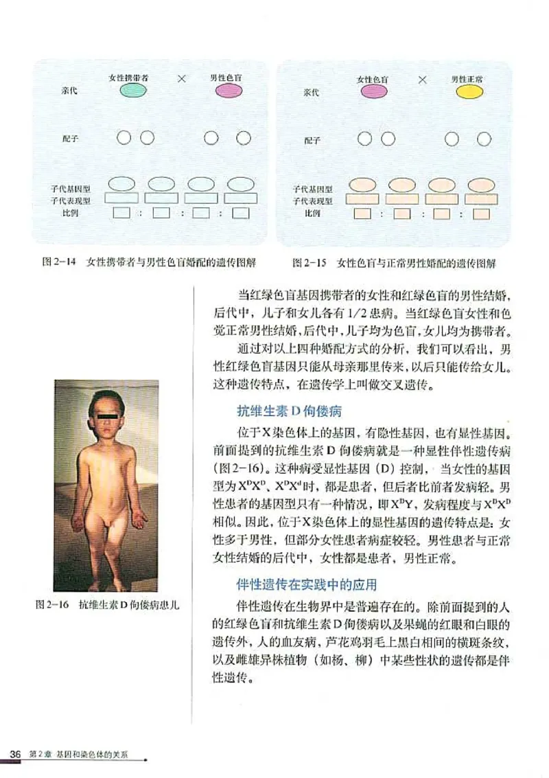 高中生物必修2遗传与进化_高中课本电子全科人教版语数英政历地物化生必修选修全套课本PPT_高中生物