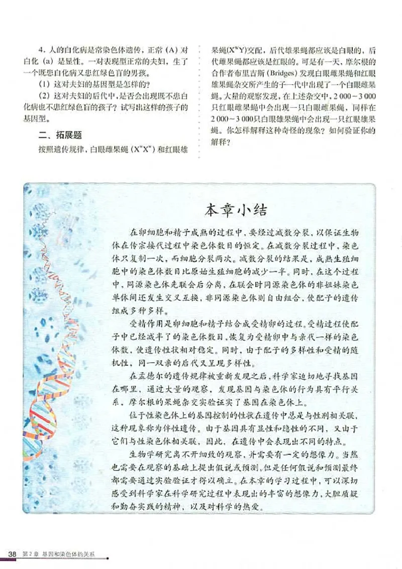 高中生物必修2遗传与进化_高中课本电子全科人教版语数英政历地物化生必修选修全套课本PPT_高中生物