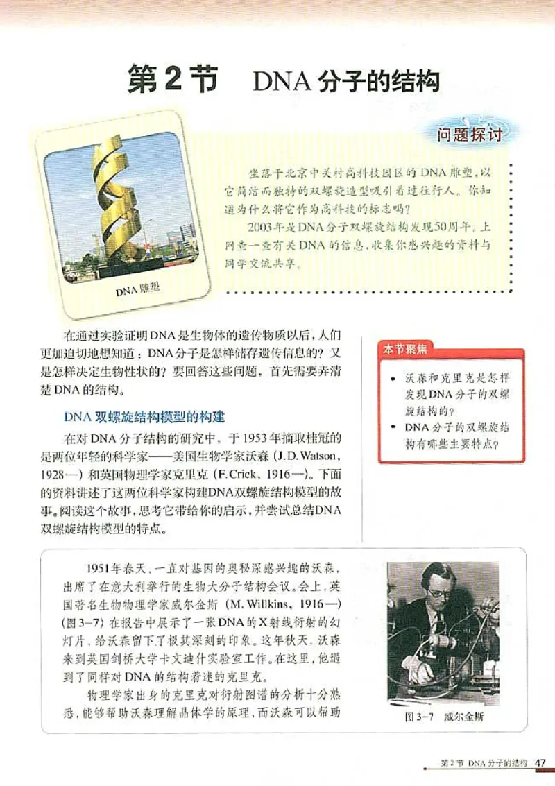 高中生物必修2遗传与进化_高中课本电子全科人教版语数英政历地物化生必修选修全套课本PPT_高中生物