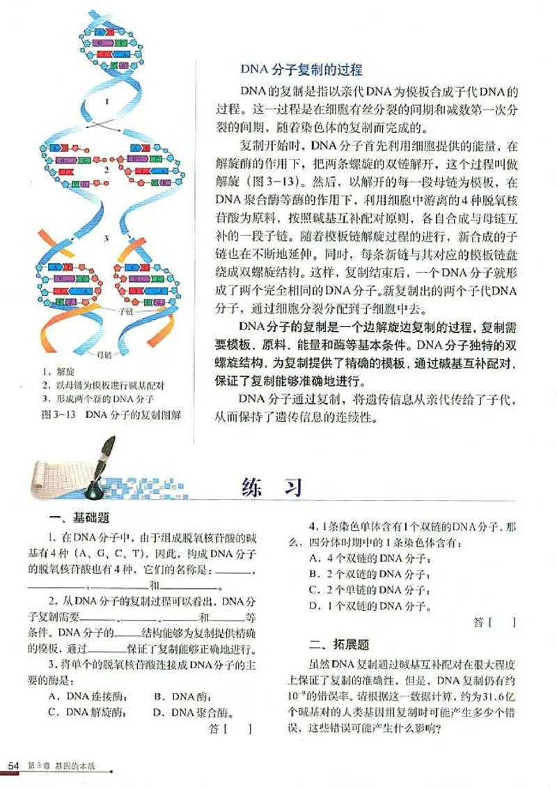 高中生物必修2遗传与进化_高中课本电子全科人教版语数英政历地物化生必修选修全套课本PPT_高中生物