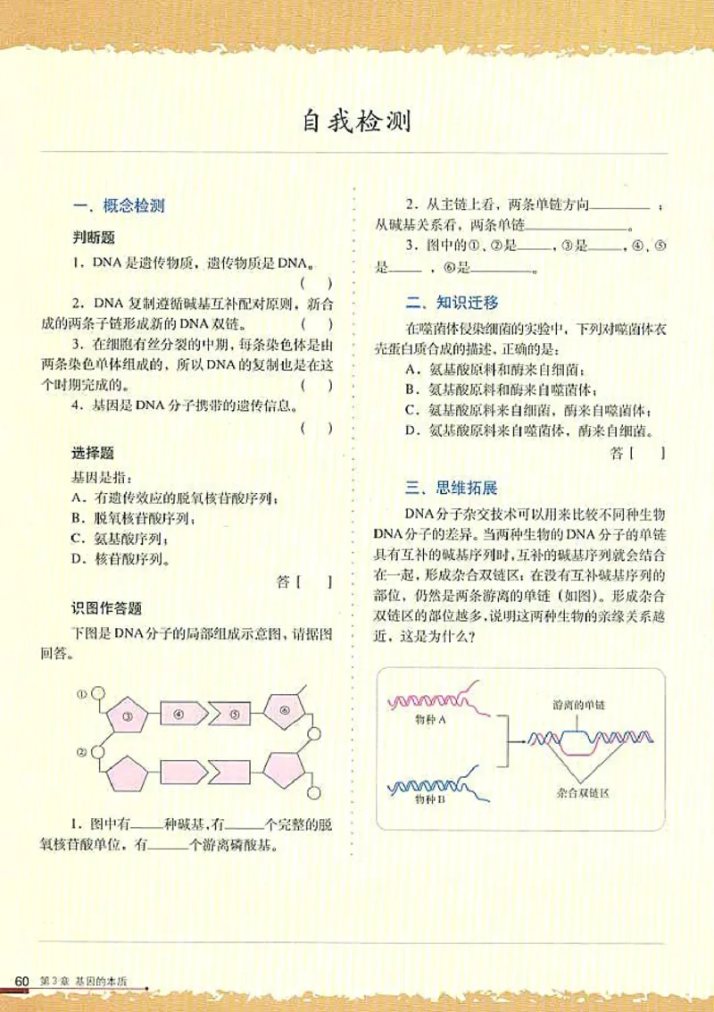 高中生物必修2遗传与进化_高中课本电子全科人教版语数英政历地物化生必修选修全套课本PPT_高中生物