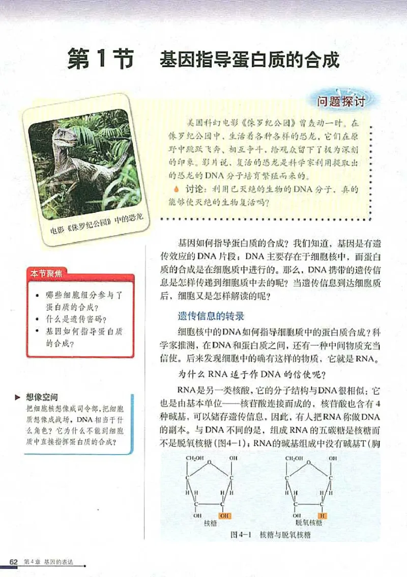 高中生物必修2遗传与进化_高中课本电子全科人教版语数英政历地物化生必修选修全套课本PPT_高中生物