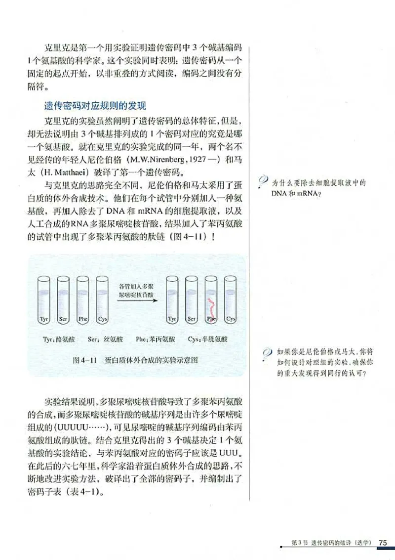 高中生物必修2遗传与进化_高中课本电子全科人教版语数英政历地物化生必修选修全套课本PPT_高中生物