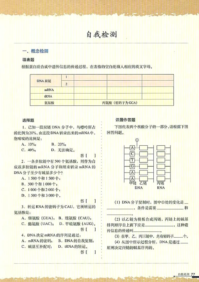 高中生物必修2遗传与进化_高中课本电子全科人教版语数英政历地物化生必修选修全套课本PPT_高中生物
