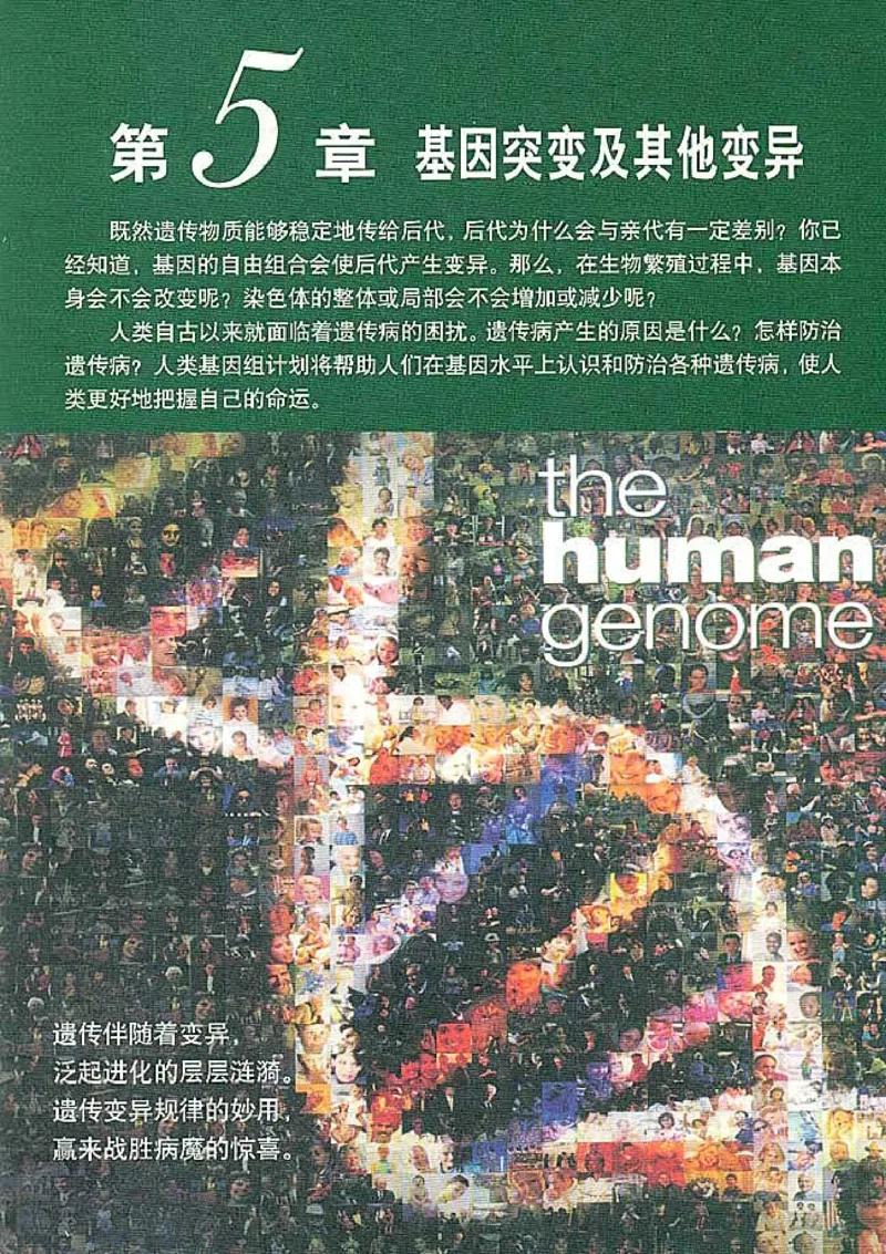 高中生物必修2遗传与进化_高中课本电子全科人教版语数英政历地物化生必修选修全套课本PPT_高中生物