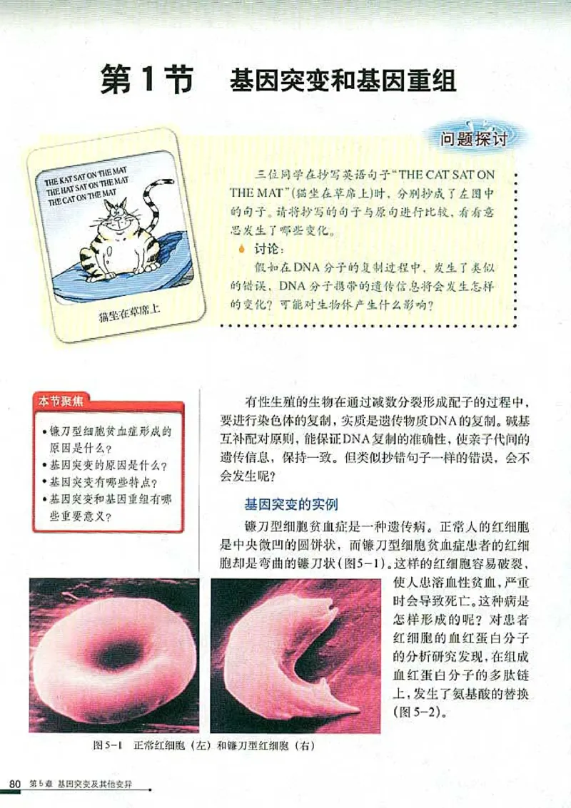 高中生物必修2遗传与进化_高中课本电子全科人教版语数英政历地物化生必修选修全套课本PPT_高中生物