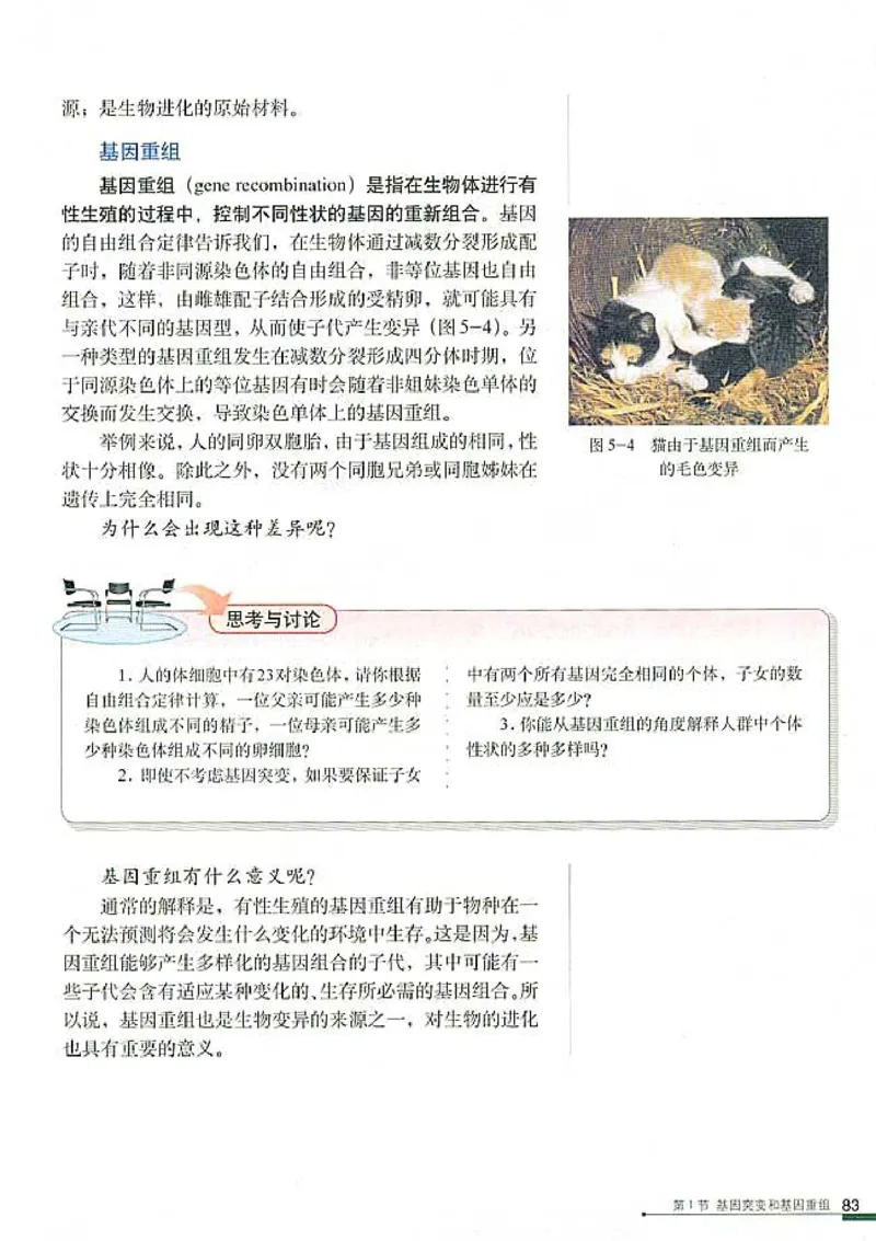 高中生物必修2遗传与进化_高中课本电子全科人教版语数英政历地物化生必修选修全套课本PPT_高中生物