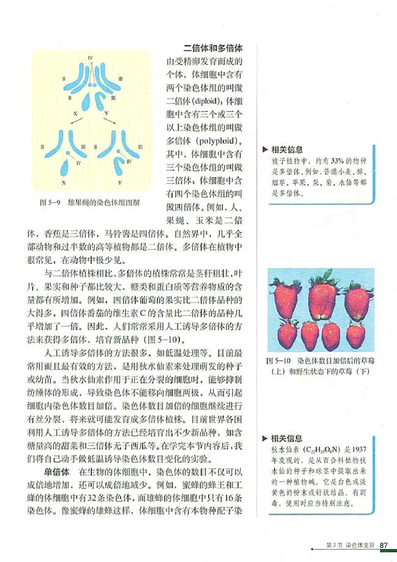 高中生物必修2遗传与进化_高中课本电子全科人教版语数英政历地物化生必修选修全套课本PPT_高中生物