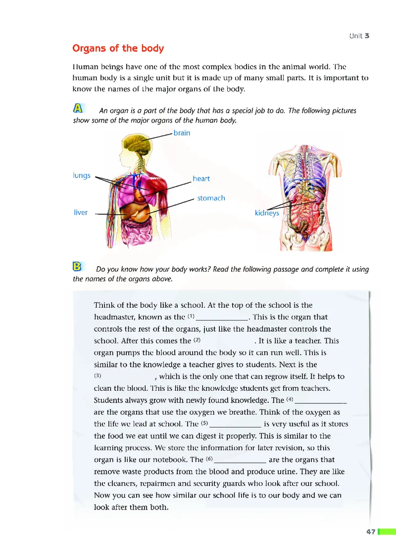 牛津高中英语（模块五&middot;高二上学期）_高中课本电子全科人教版语数英政历地物化生必修选修全套课本PPT_高中英语译林版