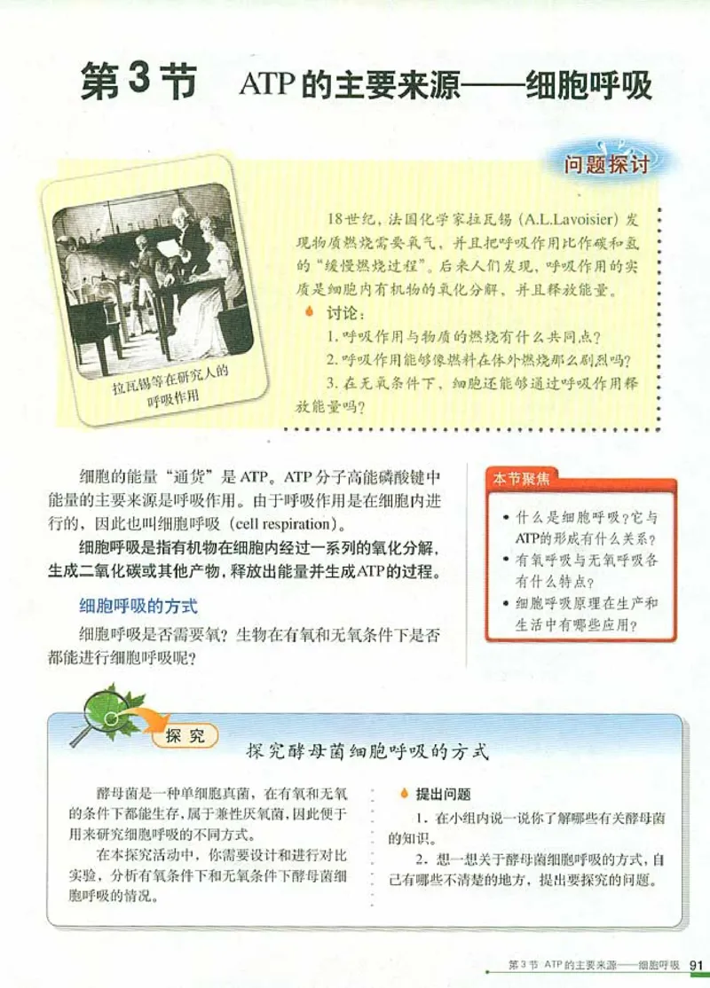 高中生物必修1分子与细胞_高中课本电子全科人教版语数英政历地物化生必修选修全套课本PPT_高中生物