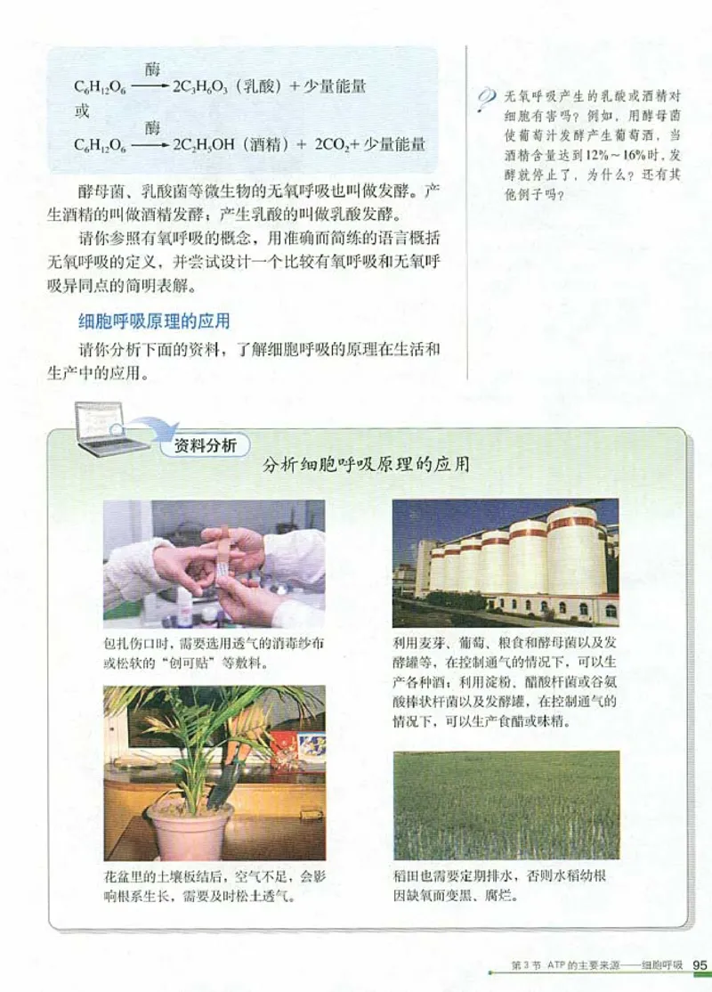 高中生物必修1分子与细胞_高中课本电子全科人教版语数英政历地物化生必修选修全套课本PPT_高中生物