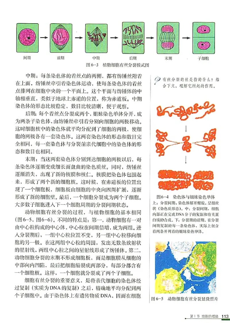高中生物必修1分子与细胞_高中课本电子全科人教版语数英政历地物化生必修选修全套课本PPT_高中生物