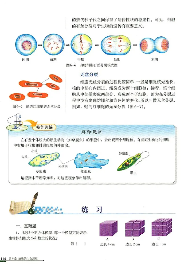 高中生物必修1分子与细胞_高中课本电子全科人教版语数英政历地物化生必修选修全套课本PPT_高中生物