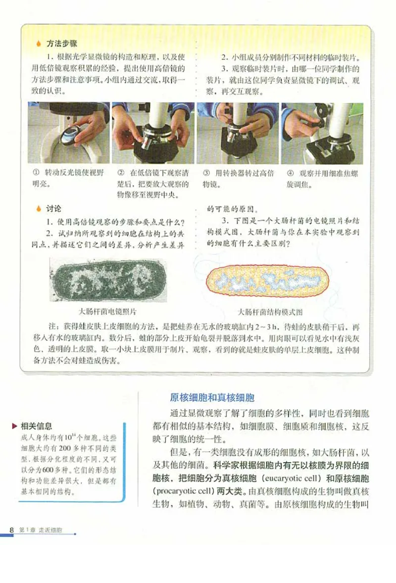 高中生物必修1分子与细胞_高中课本电子全科人教版语数英政历地物化生必修选修全套课本PPT_高中生物