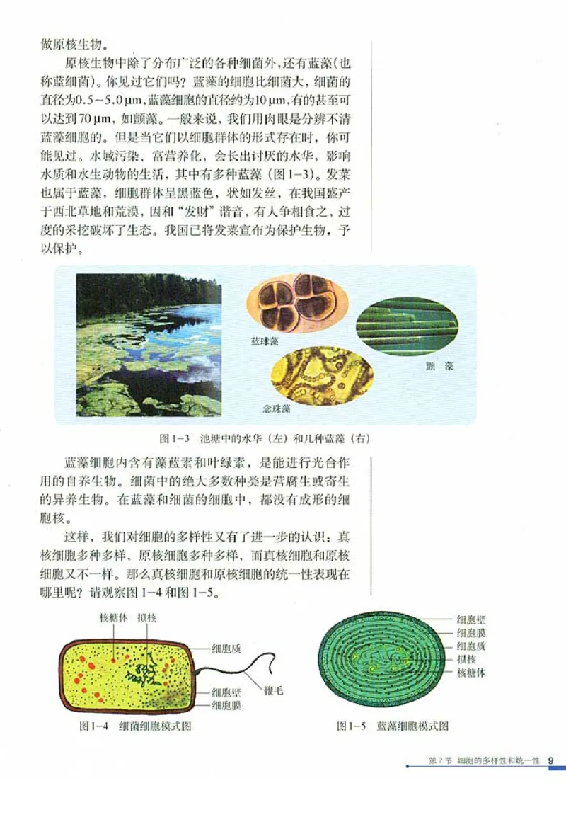 高中生物必修1分子与细胞_高中课本电子全科人教版语数英政历地物化生必修选修全套课本PPT_高中生物