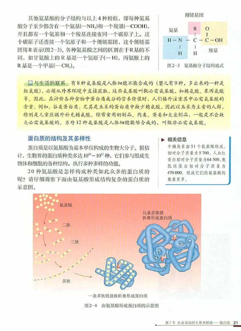 高中生物必修1分子与细胞_高中课本电子全科人教版语数英政历地物化生必修选修全套课本PPT_高中生物