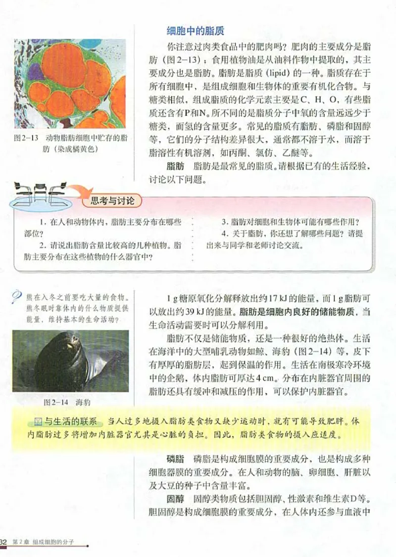 高中生物必修1分子与细胞_高中课本电子全科人教版语数英政历地物化生必修选修全套课本PPT_高中生物