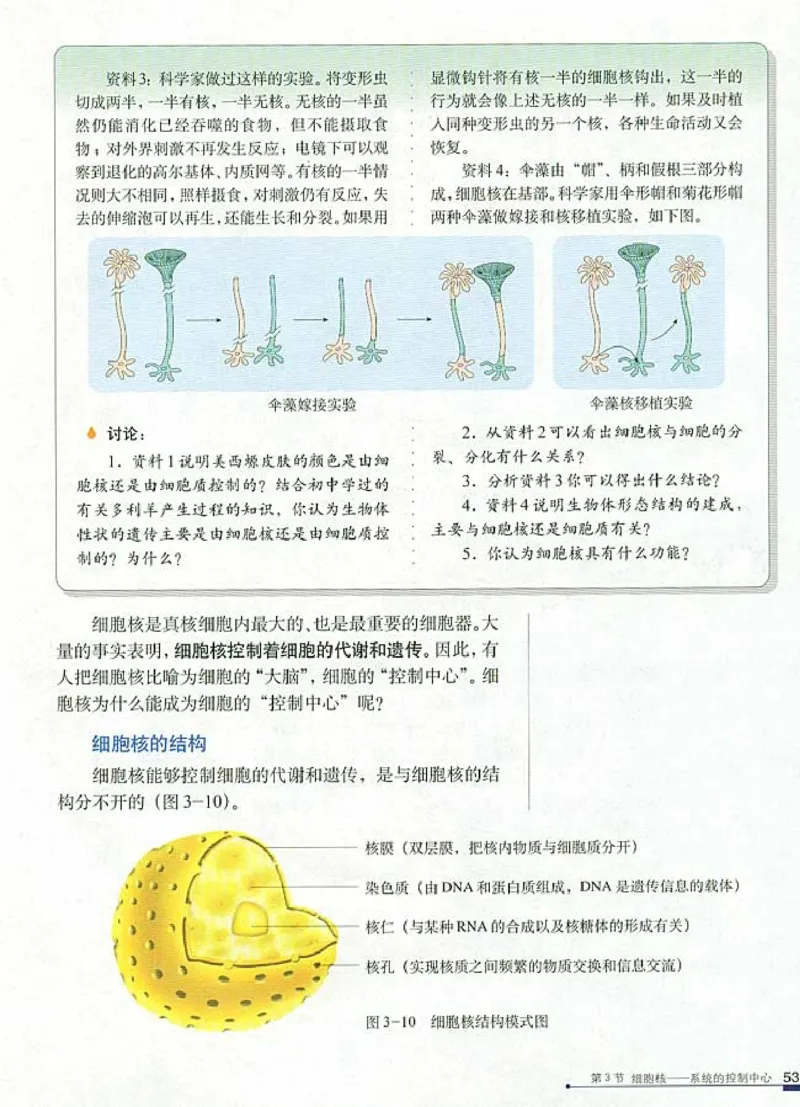 高中生物必修1分子与细胞_高中课本电子全科人教版语数英政历地物化生必修选修全套课本PPT_高中生物