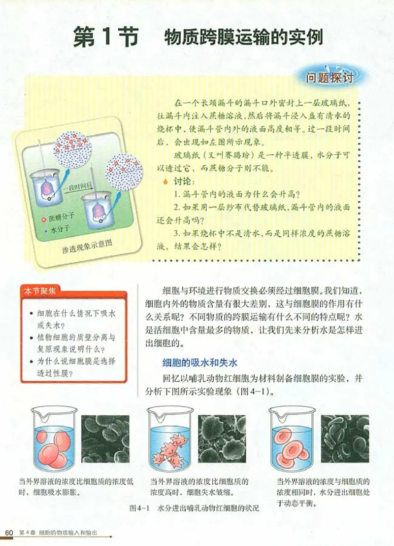 高中生物必修1分子与细胞_高中课本电子全科人教版语数英政历地物化生必修选修全套课本PPT_高中生物