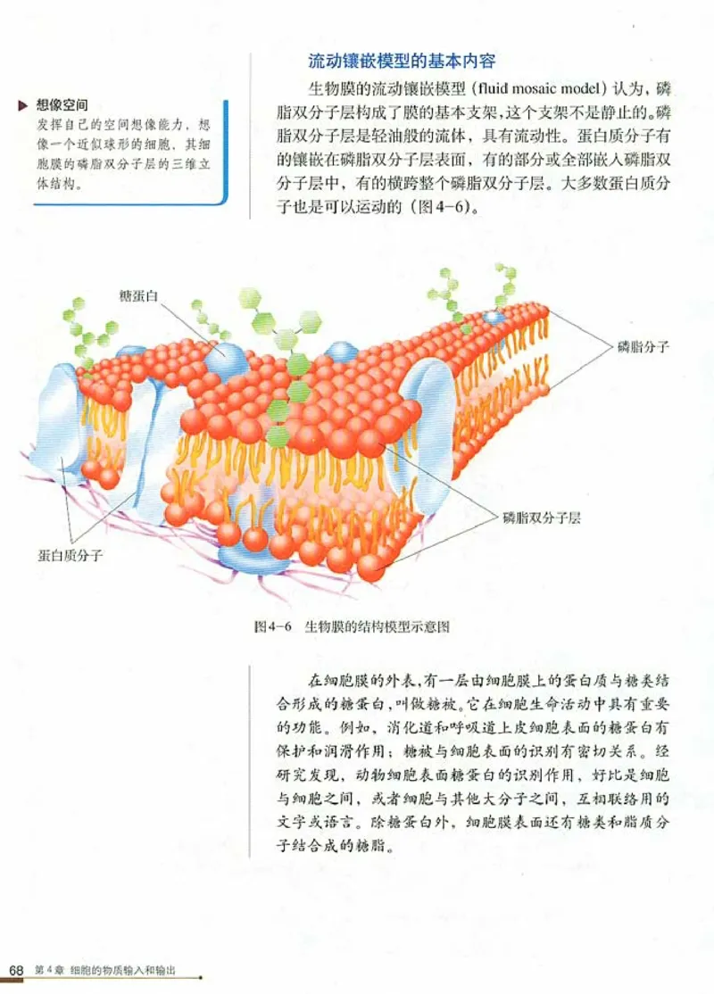 高中生物必修1分子与细胞_高中课本电子全科人教版语数英政历地物化生必修选修全套课本PPT_高中生物
