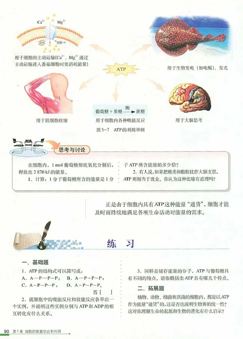 高中生物必修1分子与细胞_高中课本电子全科人教版语数英政历地物化生必修选修全套课本PPT_高中生物