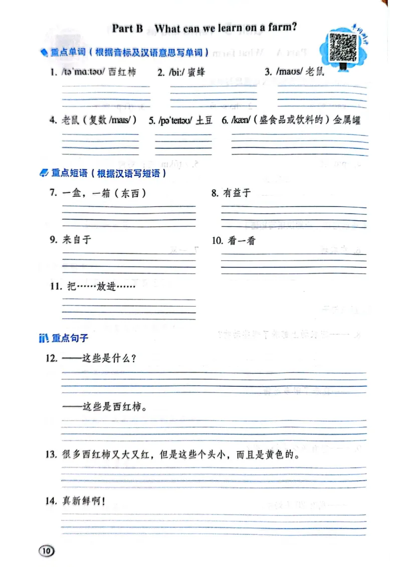 四下典中点内册基础默写本（含默写本答案）_21练习题+试卷合集多套完整版_2026春典中点