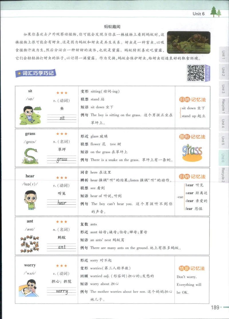 25秋《教材帮》英语人教pep6上_21练习题+试卷合集多套完整版_-26春《教材帮》_3-6上册_25秋六上英语人教PEP版教材帮+练习帮+期末知识挂图