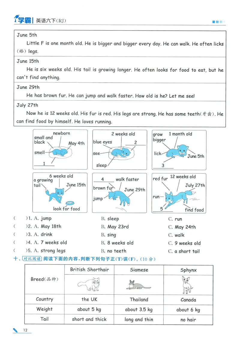 人教英语6下_21练习题+试卷合集多套完整版_-26春《五星学霸》_26春《五星学霸》英语RJ6下