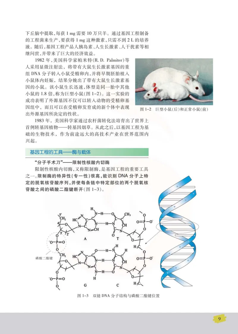 生物选修3现代生物科技专题_高中课本电子全科人教版语数英政历地物化生必修选修全套课本PPT_高中课本苏教版_高中生物苏教版