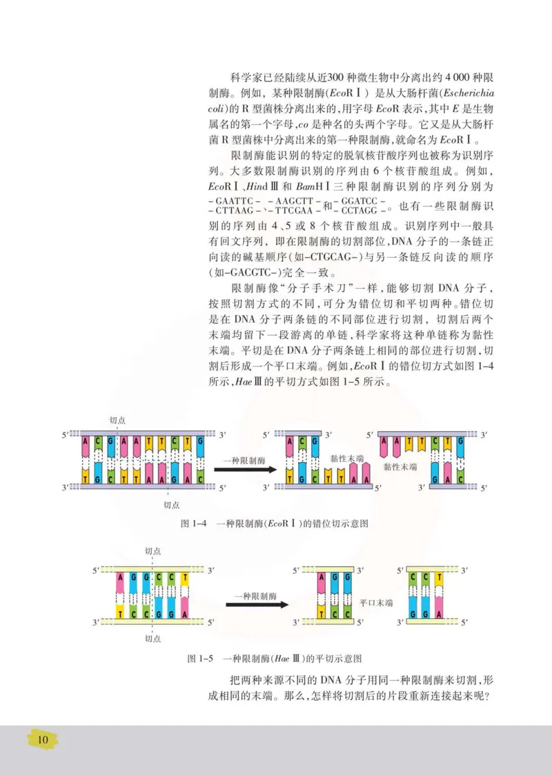 生物选修3现代生物科技专题_高中课本电子全科人教版语数英政历地物化生必修选修全套课本PPT_高中课本苏教版_高中生物苏教版