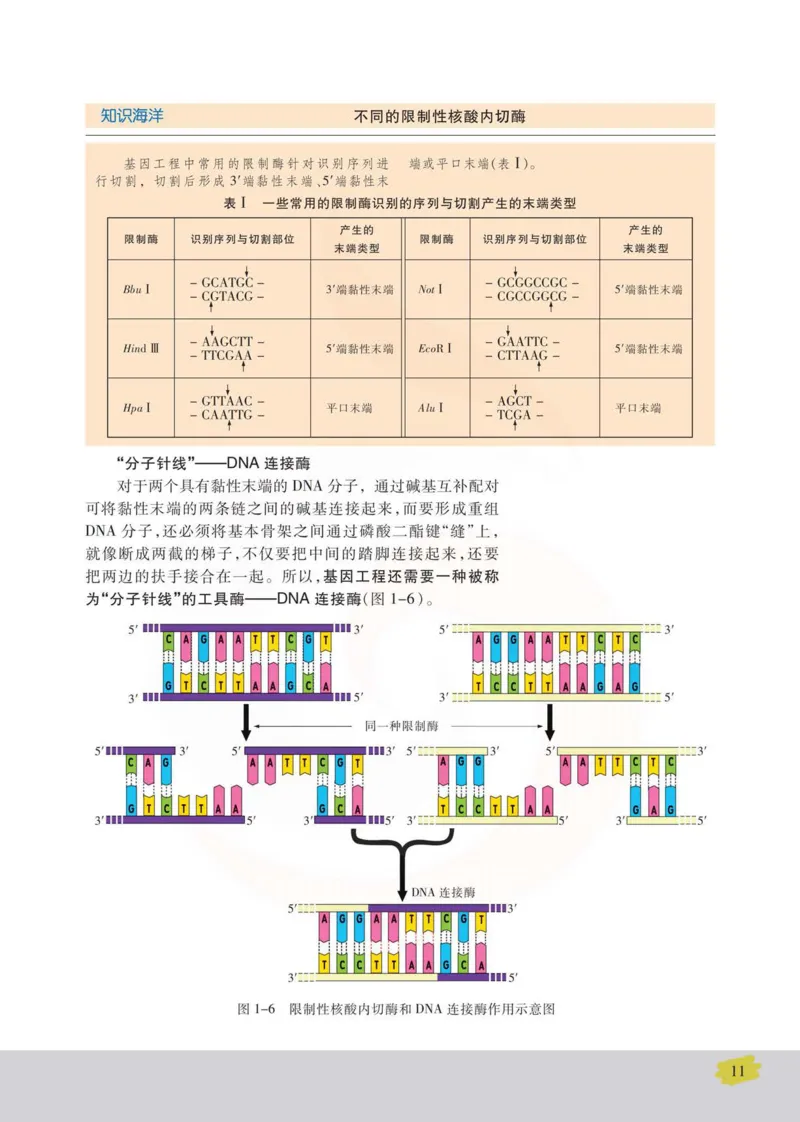 生物选修3现代生物科技专题_高中课本电子全科人教版语数英政历地物化生必修选修全套课本PPT_高中课本苏教版_高中生物苏教版