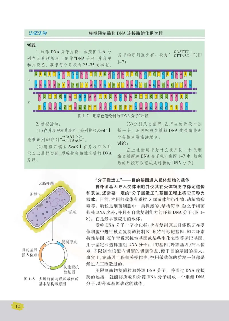 生物选修3现代生物科技专题_高中课本电子全科人教版语数英政历地物化生必修选修全套课本PPT_高中课本苏教版_高中生物苏教版