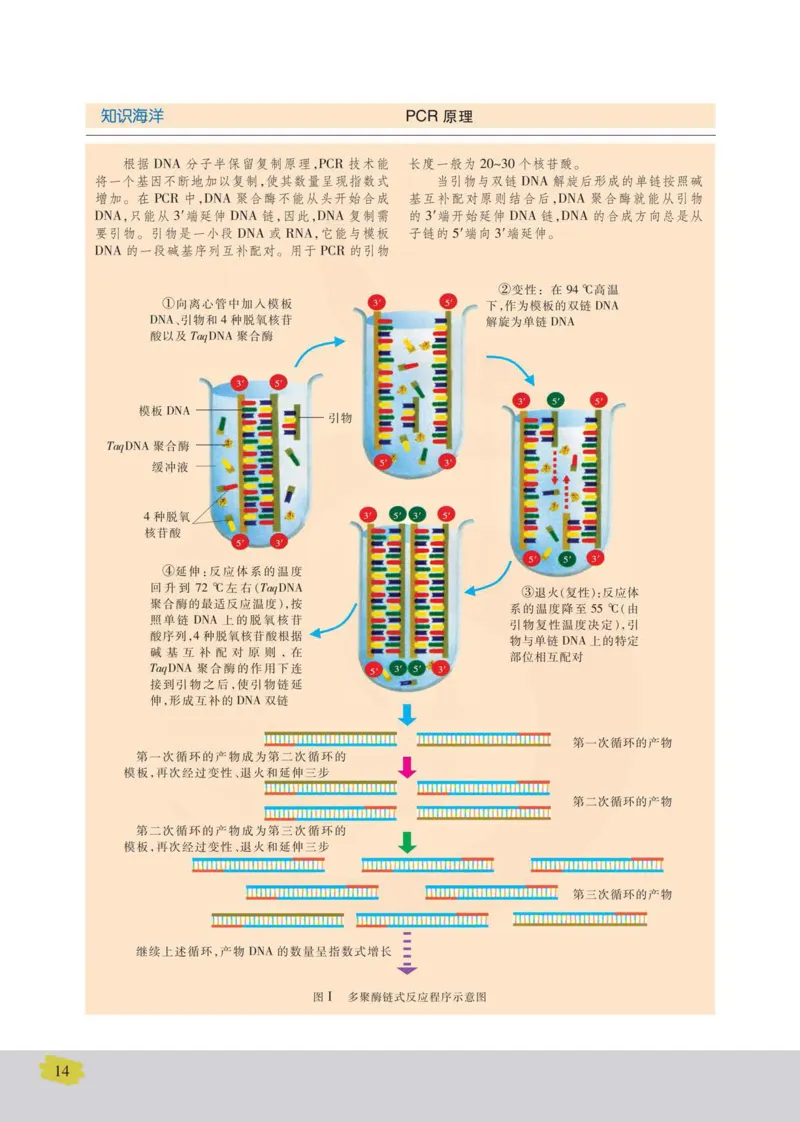 生物选修3现代生物科技专题_高中课本电子全科人教版语数英政历地物化生必修选修全套课本PPT_高中课本苏教版_高中生物苏教版