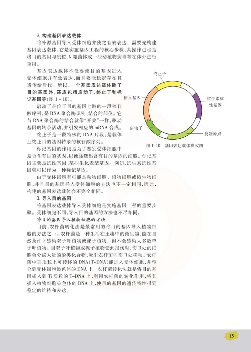 生物选修3现代生物科技专题_高中课本电子全科人教版语数英政历地物化生必修选修全套课本PPT_高中课本苏教版_高中生物苏教版