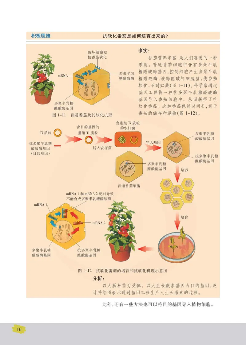 生物选修3现代生物科技专题_高中课本电子全科人教版语数英政历地物化生必修选修全套课本PPT_高中课本苏教版_高中生物苏教版