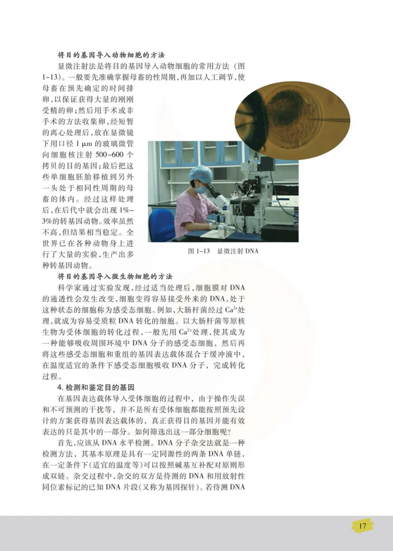 生物选修3现代生物科技专题_高中课本电子全科人教版语数英政历地物化生必修选修全套课本PPT_高中课本苏教版_高中生物苏教版