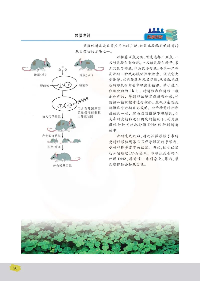 生物选修3现代生物科技专题_高中课本电子全科人教版语数英政历地物化生必修选修全套课本PPT_高中课本苏教版_高中生物苏教版