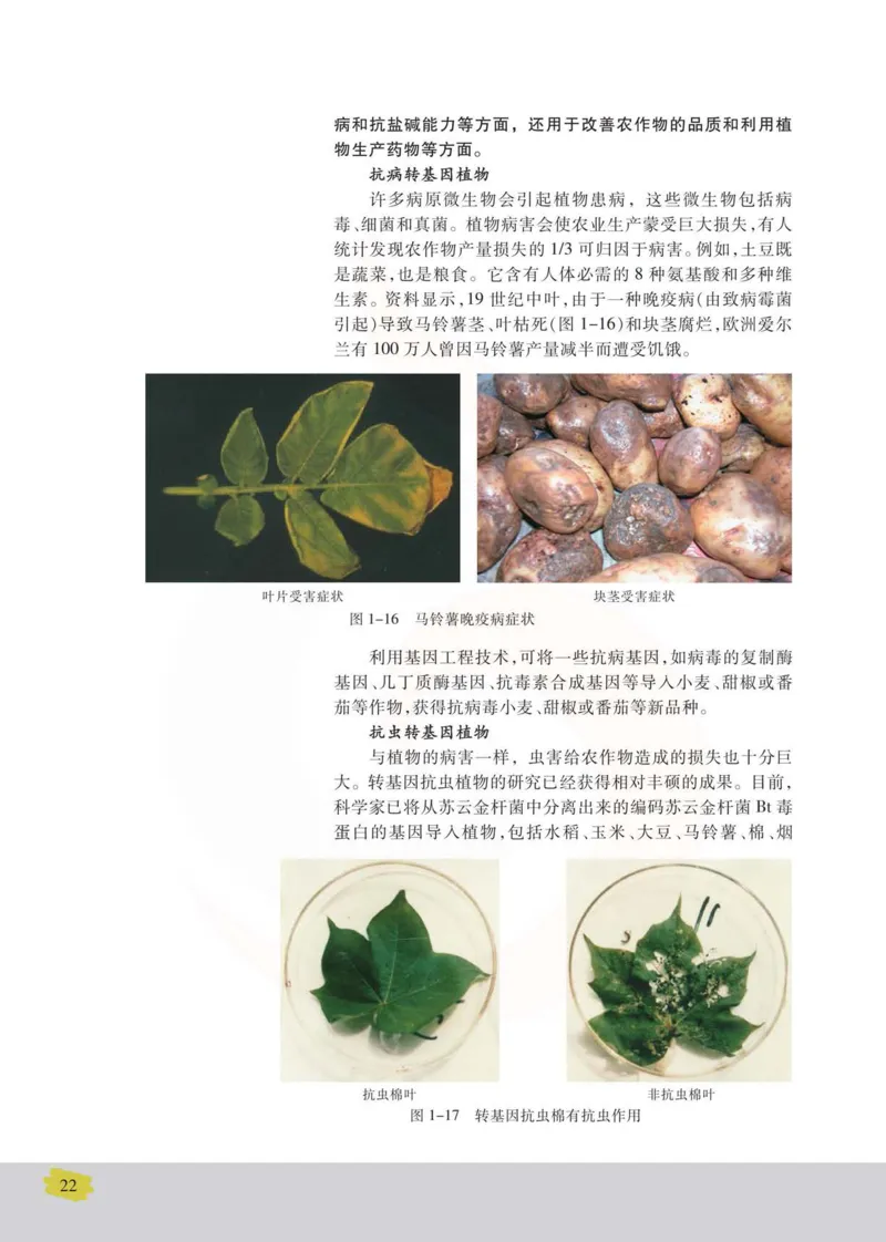 生物选修3现代生物科技专题_高中课本电子全科人教版语数英政历地物化生必修选修全套课本PPT_高中课本苏教版_高中生物苏教版