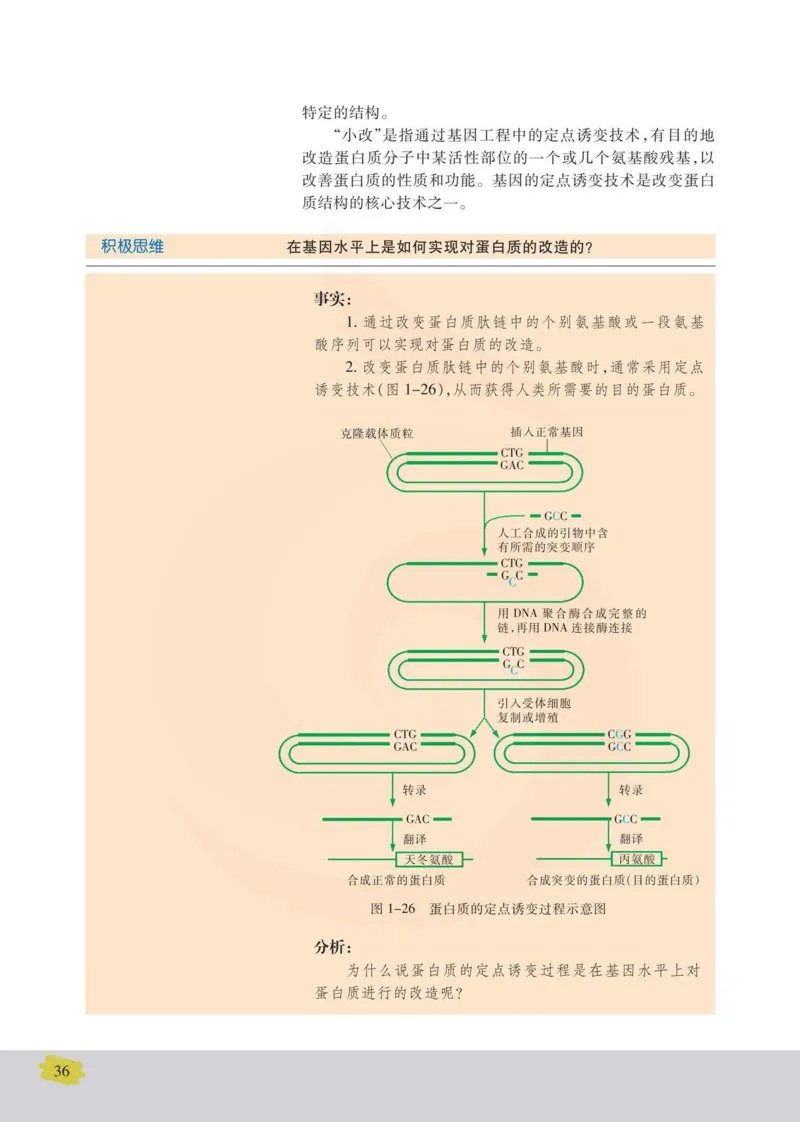 生物选修3现代生物科技专题_高中课本电子全科人教版语数英政历地物化生必修选修全套课本PPT_高中课本苏教版_高中生物苏教版