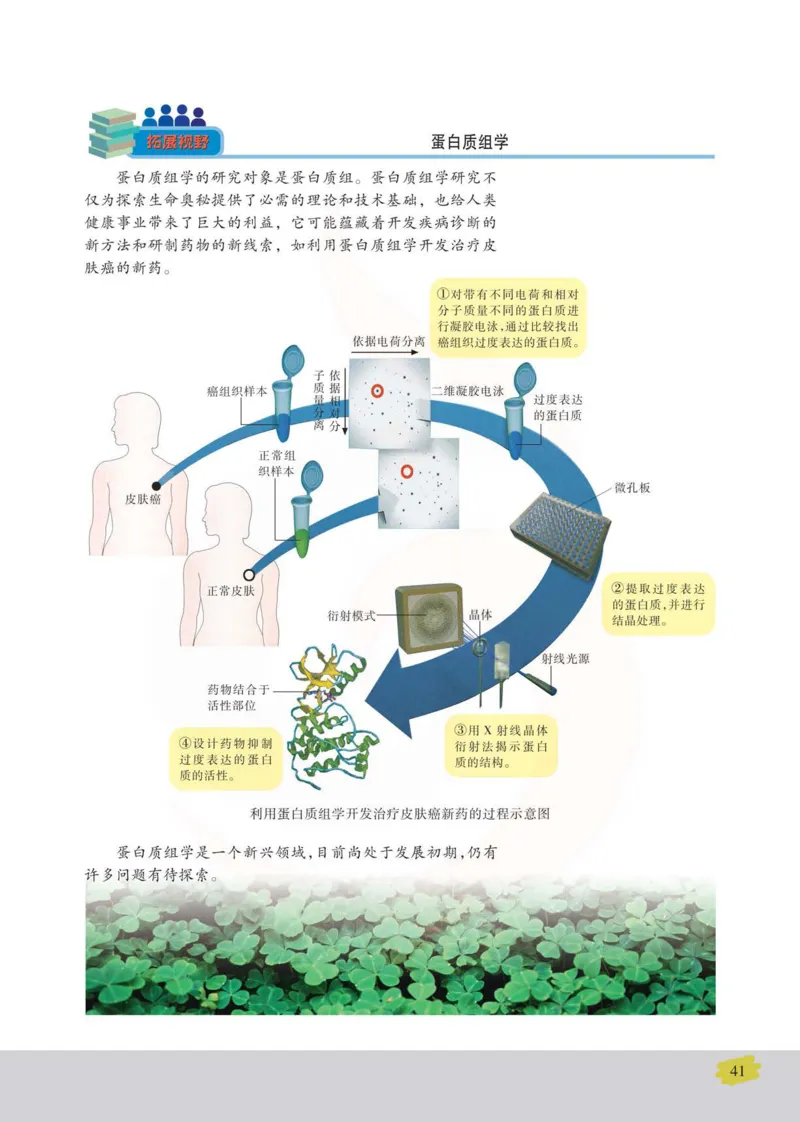 生物选修3现代生物科技专题_高中课本电子全科人教版语数英政历地物化生必修选修全套课本PPT_高中课本苏教版_高中生物苏教版